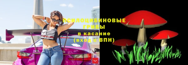 а пвп мука Абаза
