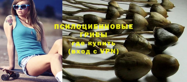 молекула духа Покровск